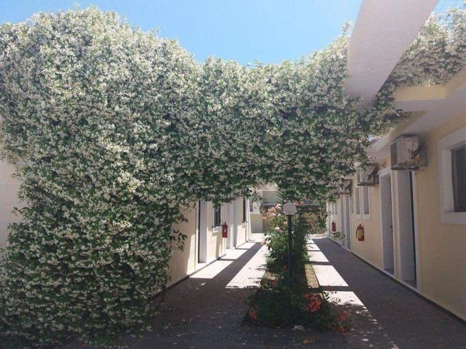 סידריון Monika Hotel Sidari מראה חיצוני תמונה